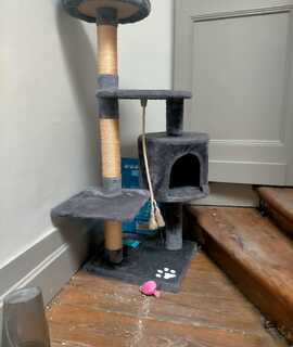 Accessoires pour animaux arbre à chat