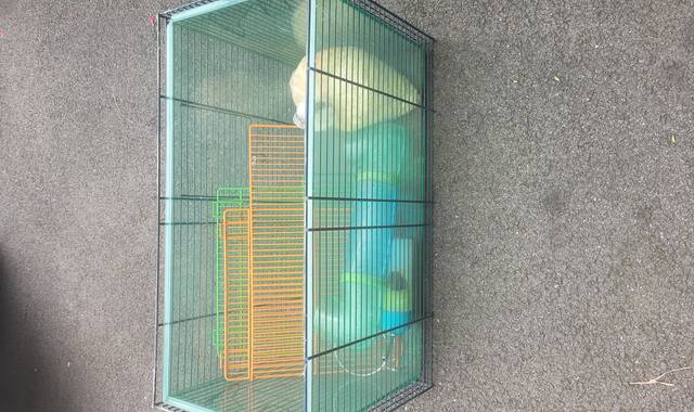 Accessoires pour animaux cage hamster, gerbille