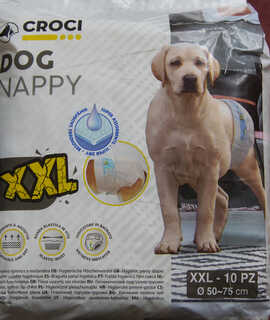 Accessoires pour animaux couches pour gros chien