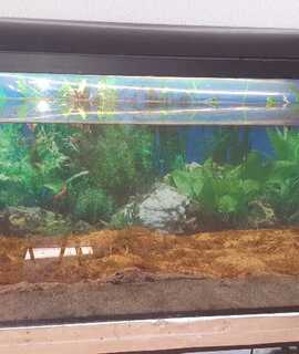 Accessoires pour animaux cuve d'aquarium de 250 L