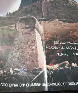 Collection vieille affiche sur le catgarisme