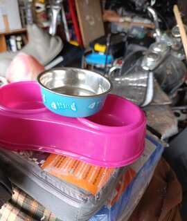 Divers gamelle pour chat