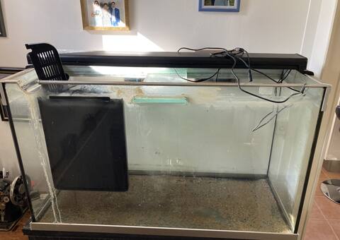 Divers aquarium