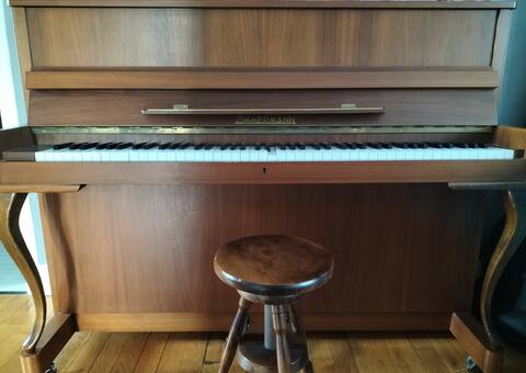 Instruments de musique piano avec travaux