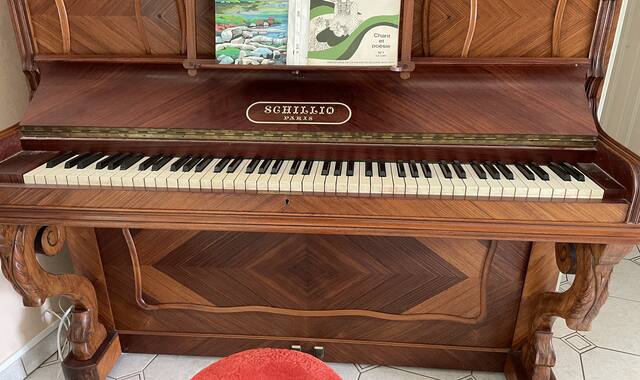 Instruments de musique piano Schillio