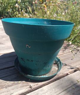 Jardinage pot avec coupelle verts