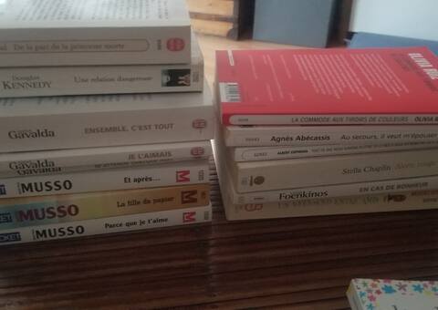 Livres-Revues : Lot de livres/romans