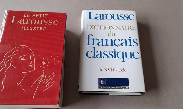 Livres-Revues dictionnaireS