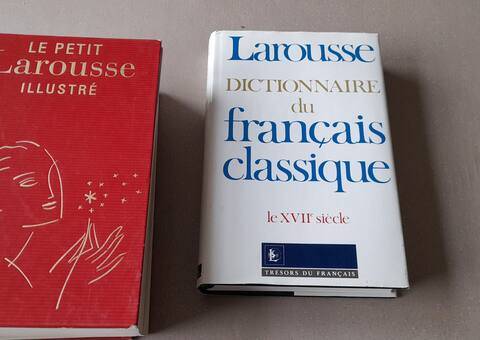 Livres-Revues dictionnaireS