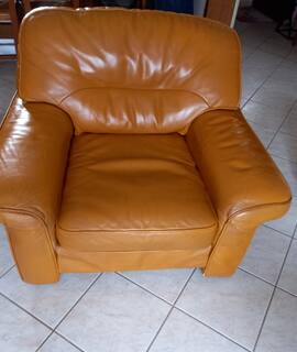 Meubles 2 fauteuils en cuir