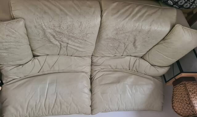 Meubles canapé et fauteuil cuir