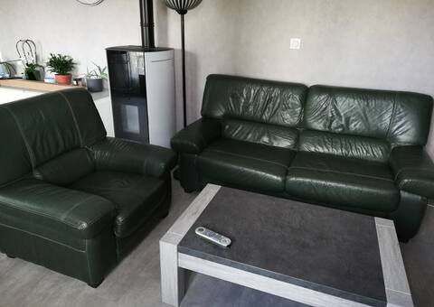 Mobilier canapé 3 places cuir vert et 1 fauteuil