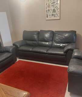 Mobilier salon cuir vert foncé très bon état