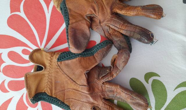 Sport gant équitation cuir