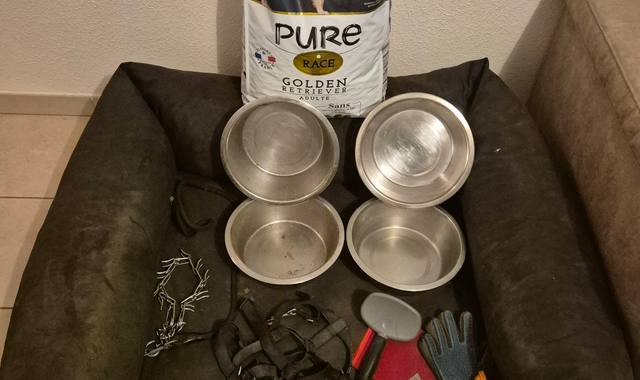 Accessoires pour animaux accessoires et nourriture pour chien