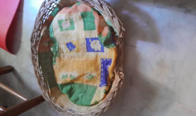 Accessoires pour animaux panier