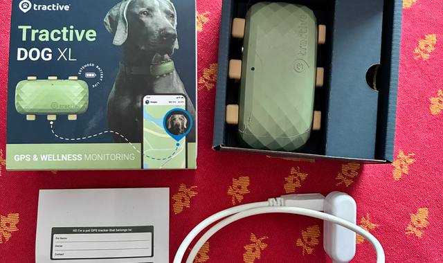 Accessoires pour animaux GPS pour chien