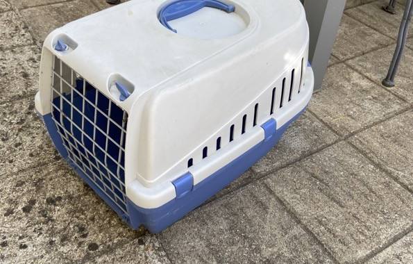 Accessoires pour animaux caisse de transport