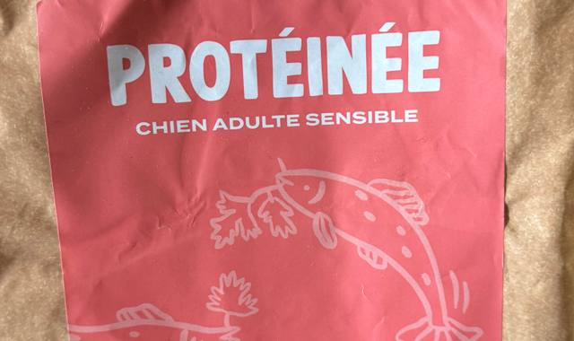 Accessoires pour animaux croquette chien franklin