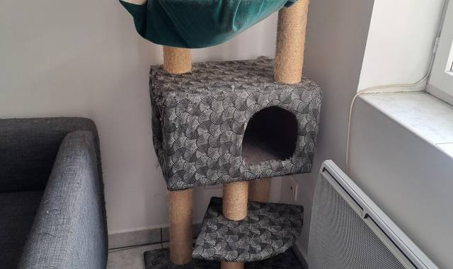 Accessoires pour animaux arbre à chat