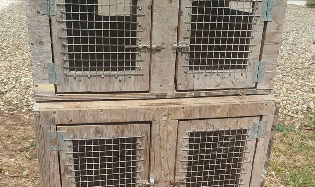 Accessoires pour animaux cage à animaux