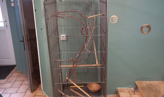 Accessoires pour animaux volière
