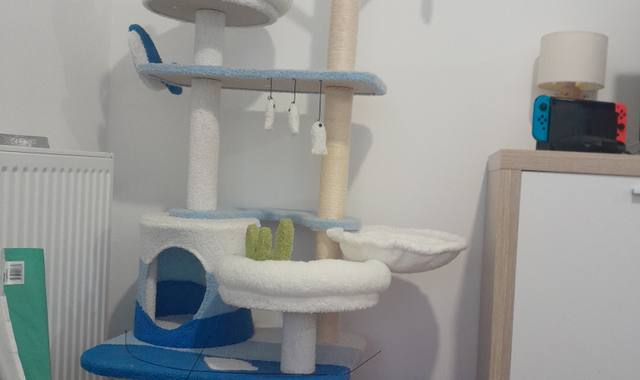 Accessoires pour animaux arbre à chat