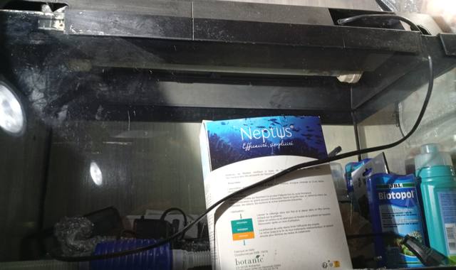 Accessoires pour animaux aquarium 60 L