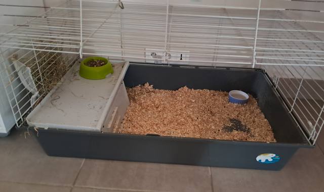 Accessoires pour animaux cage lapin + alimentation