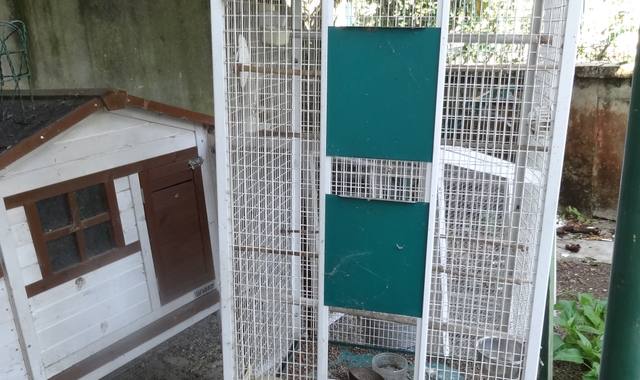 Accessoires pour animaux cage oiseaux