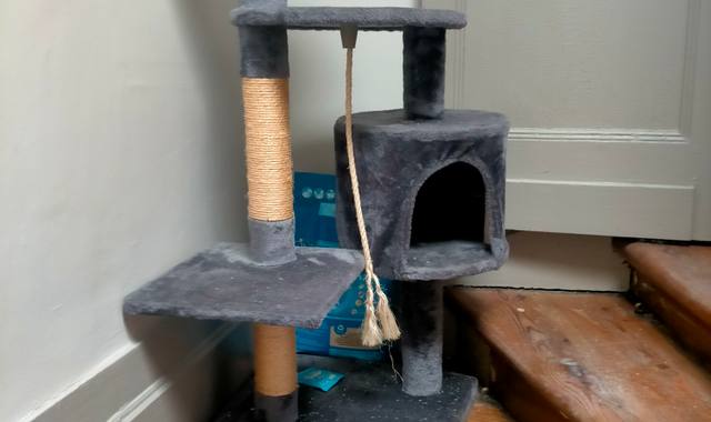 Accessoires pour animaux arbre à chat