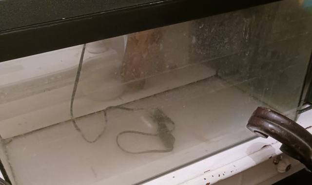 Accessoires pour animaux 2 Aquariums