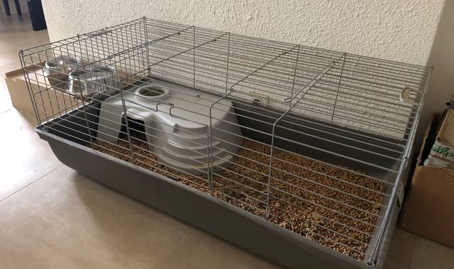 Accessoires pour animaux grand cage pour cochon d'inde