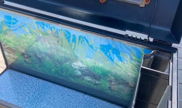 Accessoires pour animaux aquarium avec materiel