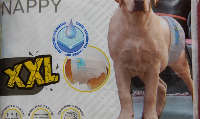 Accessoires pour animaux couches pour gros chien