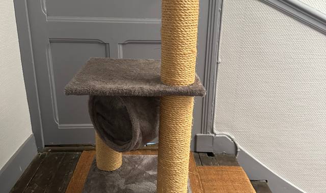 Accessoires pour animaux petit arbre à chat