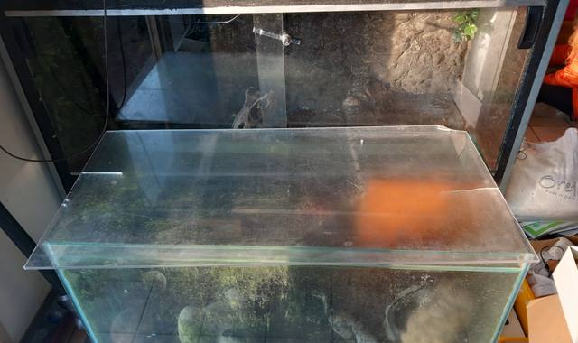 Accessoires pour animaux terrarium