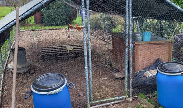 Accessoires pour animaux poulailler plus 3 poules