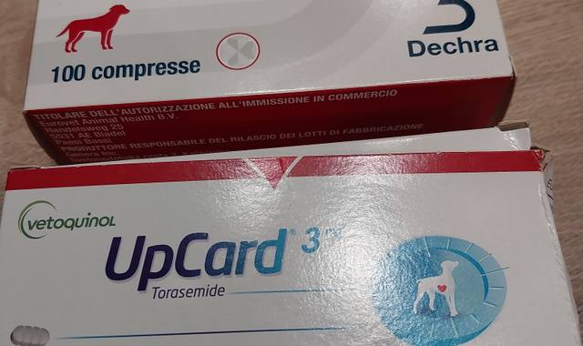 Accessoires pour animaux cardisure upcard