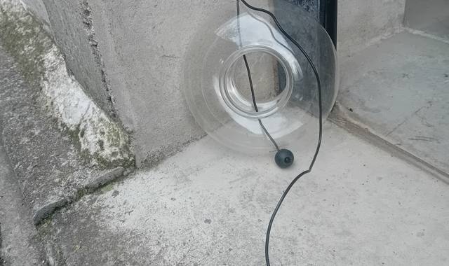 Accessoires pour animaux mangeoir pour oiseaux