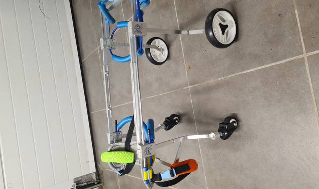 Accessoires pour animaux fauteuils roulants 4 roues et ballon gymnastique forme cacahuète