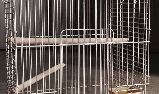 Accessoires pour animaux cage oiseaux