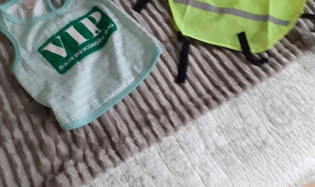 Accessoires pour animaux manteau et casquette pour petit chien