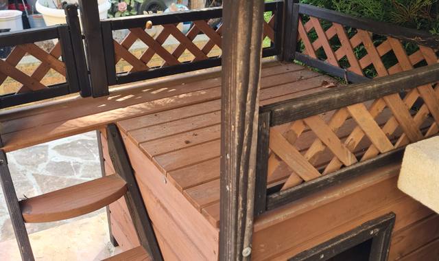 Accessoires pour animaux petite maison pour chat