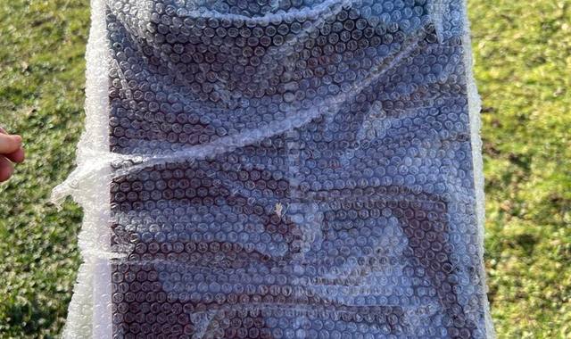 Accessoires pour animaux porte automatique pour poulailler