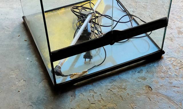 Accessoires pour animaux terrarium pour reptiles ou tortues