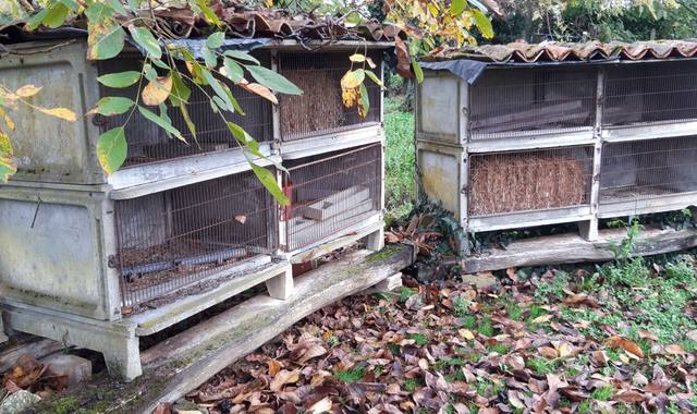 Accessoires pour animaux lapinieres en béton