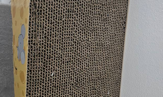 Accessoires pour animaux griffoir pour chat