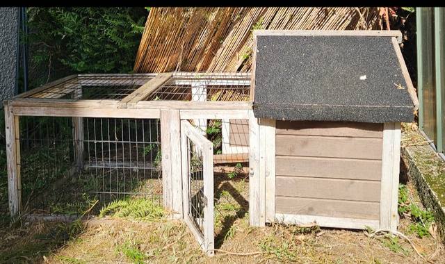 Accessoires pour animaux maisonette pour lapin