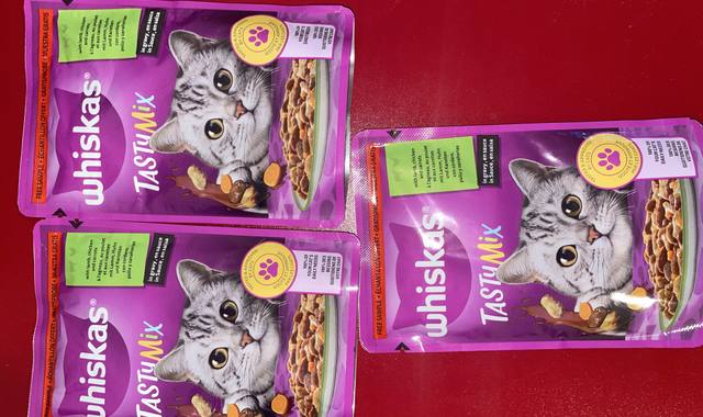 Accessoires pour animaux nourriture pour chat